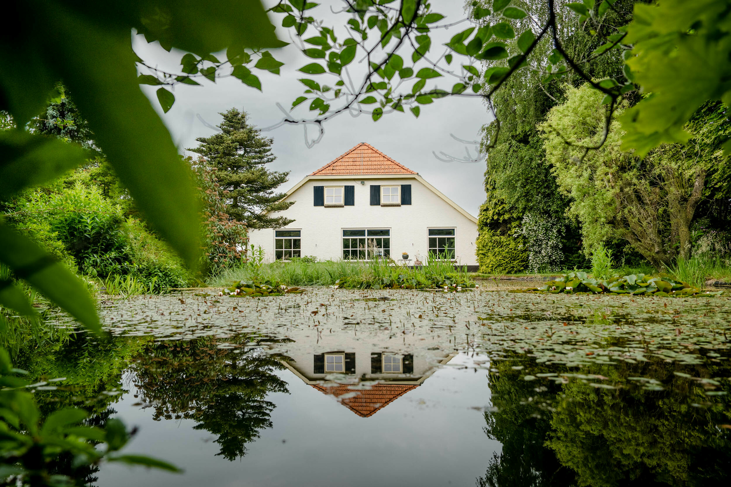 Lensink Kozijnen Liike
